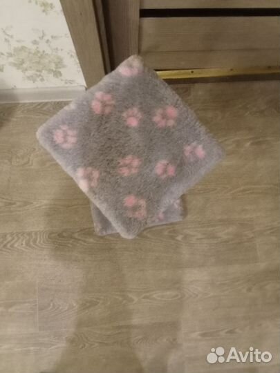 Когтеточка