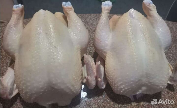 Куры бройлеры тушки мясо