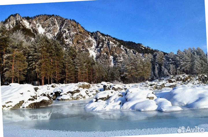 Зимой на Алтай тур поездка экспедиция до 7 дн