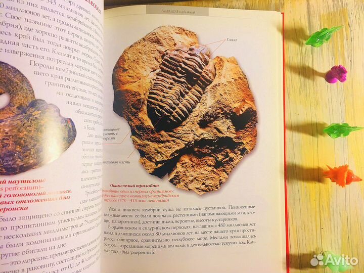 Книга Занимательное Краеведение Яркая В.И. Борисов