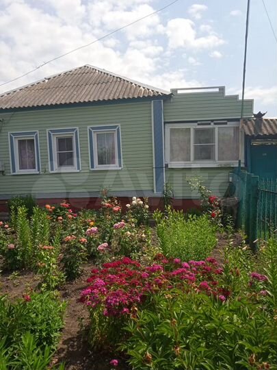 Дом 57 м² на участке 50 сот.