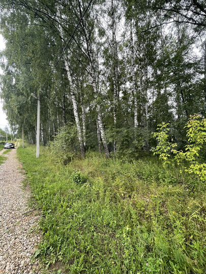 Участок 15 сот. (ИЖС)