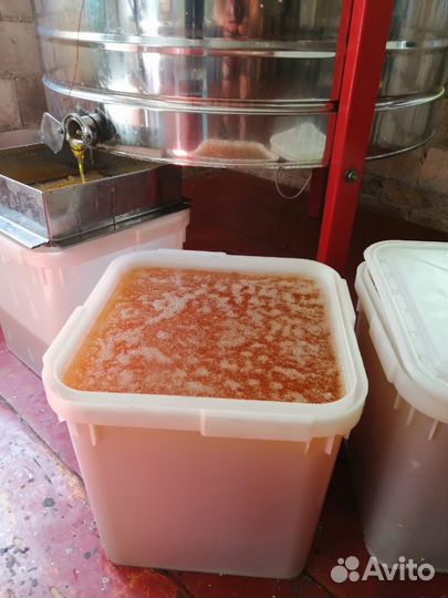 Мед свежий 2023 с доставкой по 0,5кг и 1кг