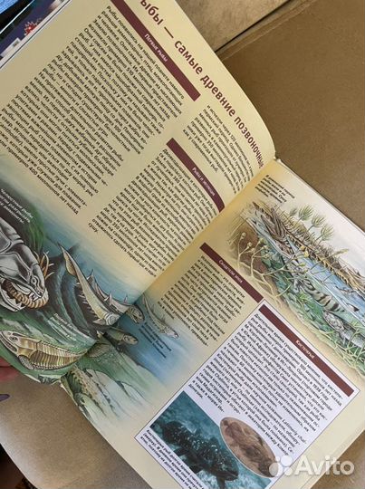 Детская энциклопедия