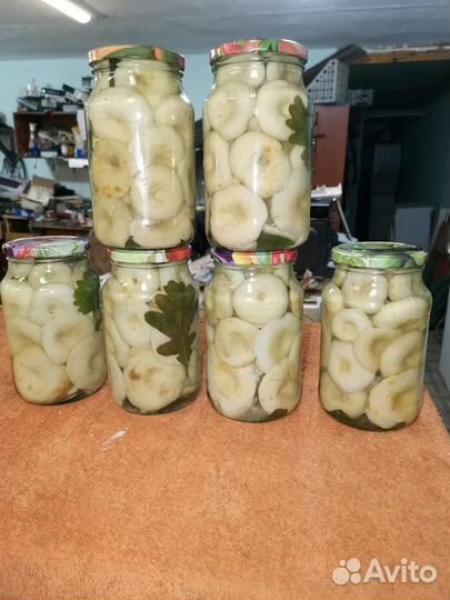 Грибы грузди солёные