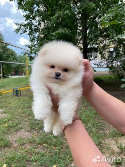 Очаровательный малыш