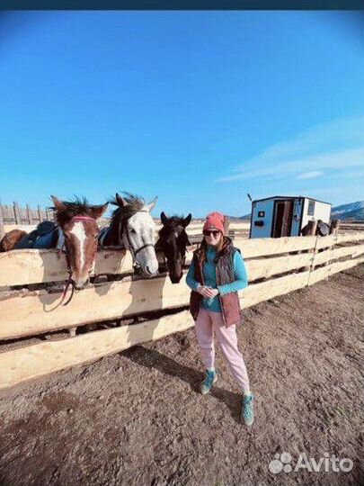 Прогулка на лошади