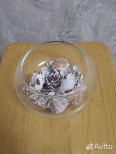 Сухой аквариум