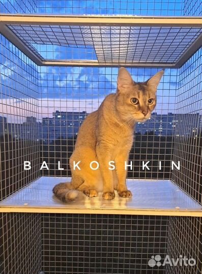 Балкончик для кошки