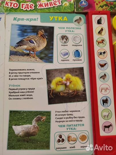 Детские книги для малышей пакетом