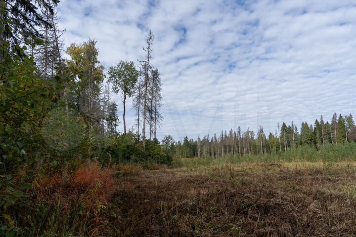 Участок 8 сот. (СНТ, ДНП)