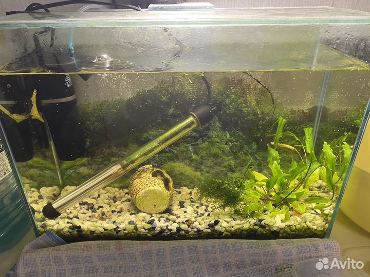 Аквариум