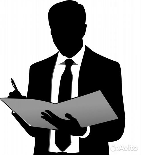 Выездной представитель