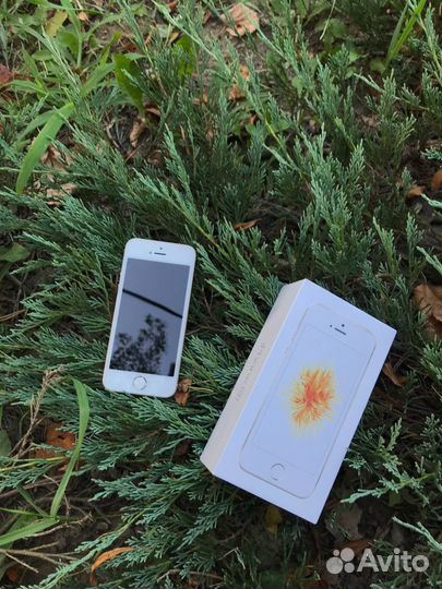 Телефон iPhone SE