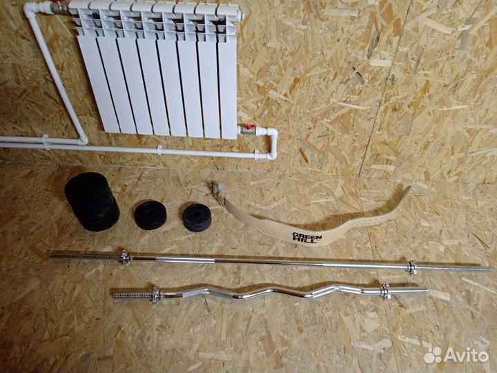 Грифы, блины