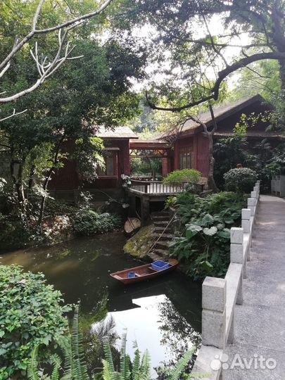 Репетитор по китайскому языку онлайн