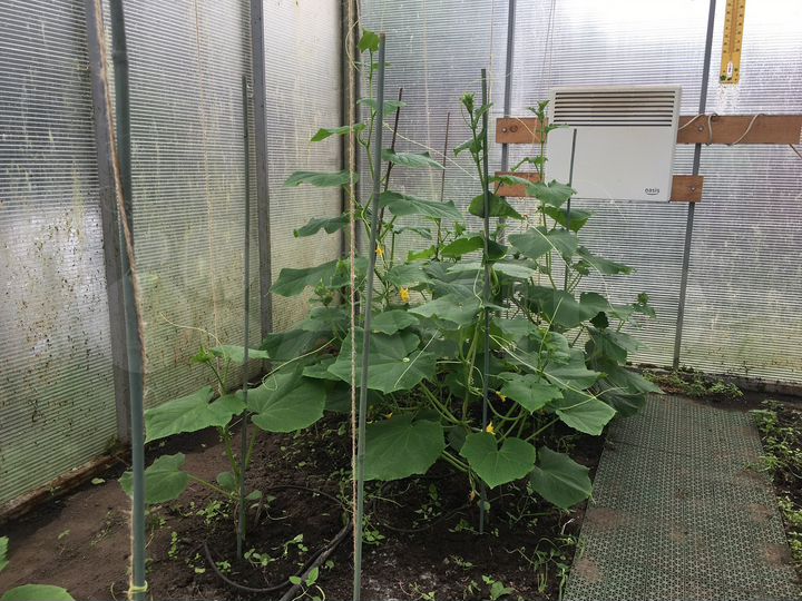 Дача 110 м² на участке 24 сот.