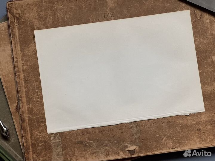 Старинная иллюстрация Крокодил