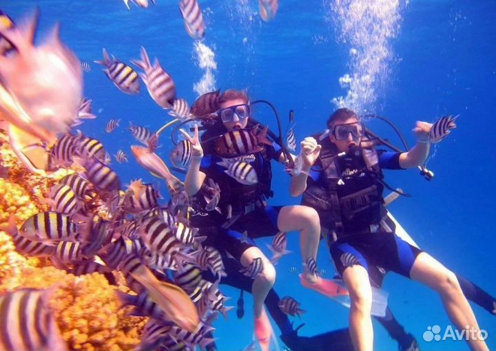 Турпутевка Египет на 5 нч. отель 5*