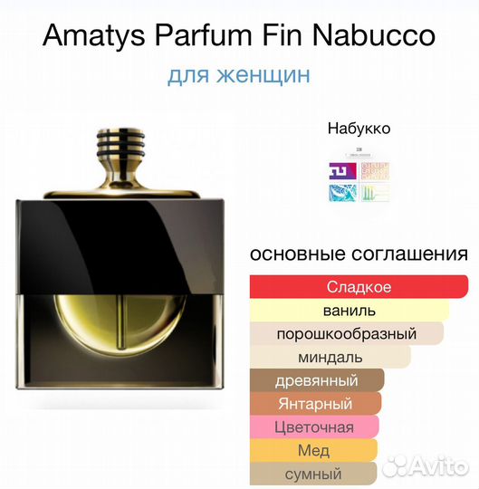 Amatys nabucco