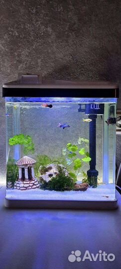 Аквариум полный комплект