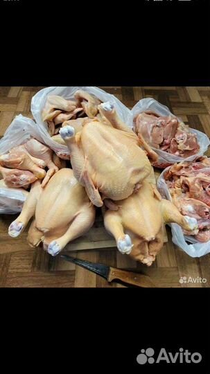 Мясо Цыпленка-бройлера-запись на октябрь