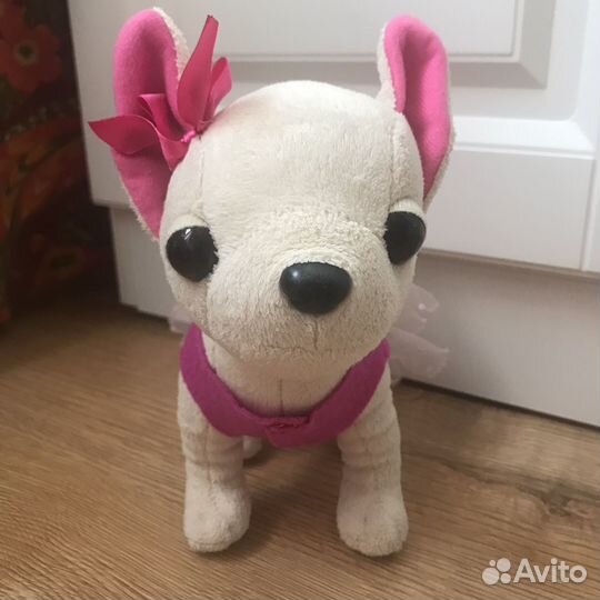 Собачка Чичилав (Chi-chi-love)