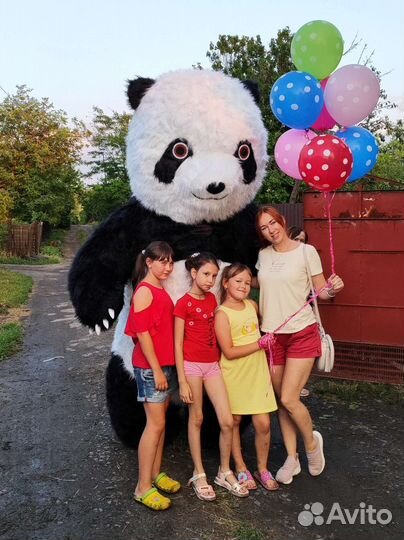 Белый Мишка, панда, Чебурашка