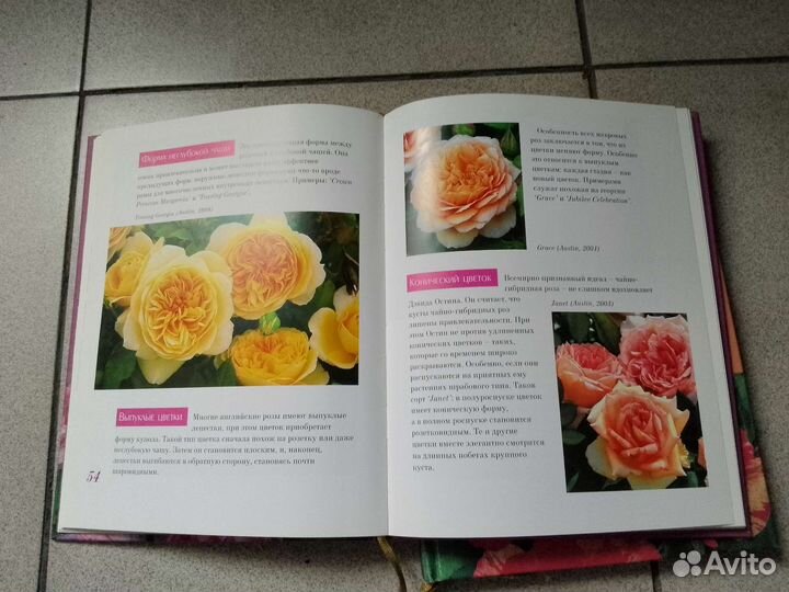 Книги по цветоводству