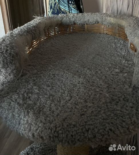 Когтеточка