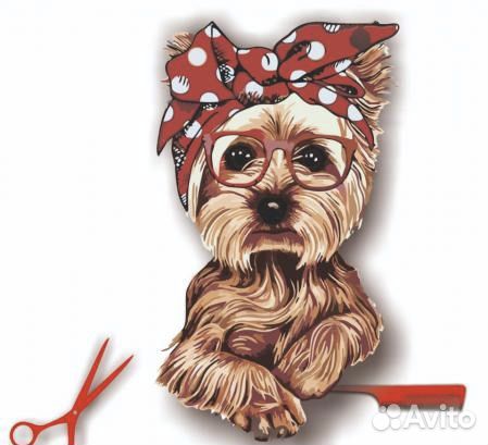 Груминг собак