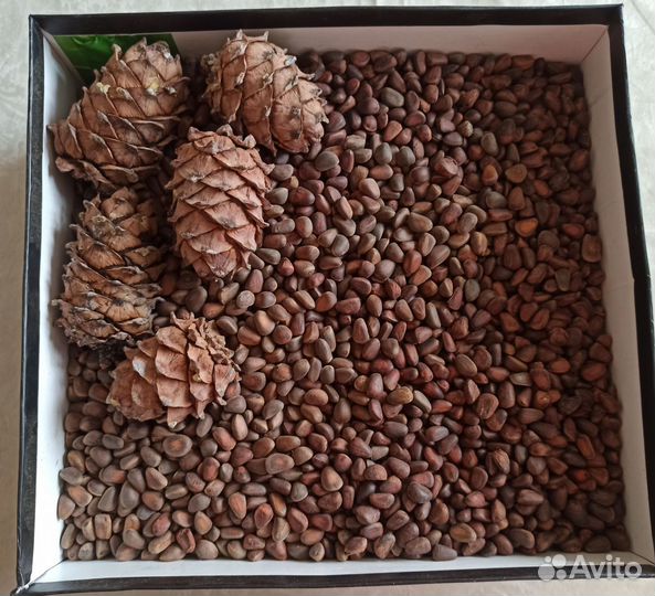 Кедровый орех очищенный