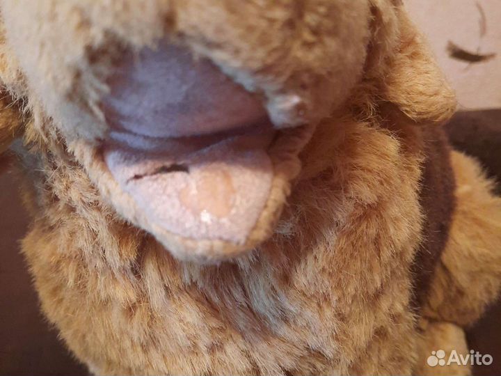 Плюшевая собачка СССР