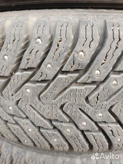 Nokian Tyres Hakkapeliitta 8 205/65 R15
