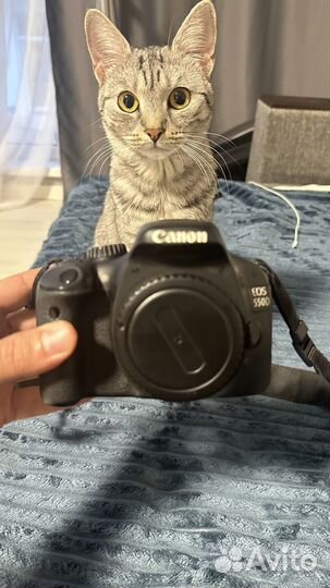 Фотоаппарат canon eos 550d