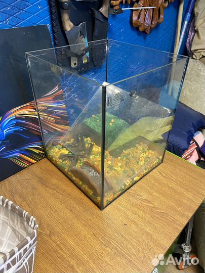 Аквариум