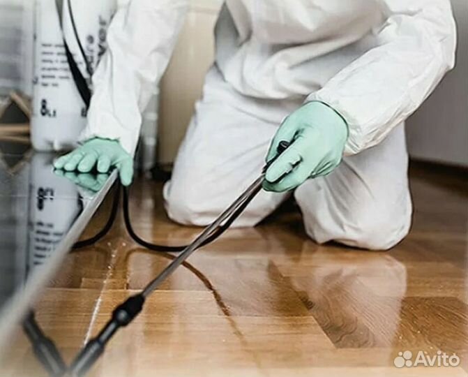 Дезинфекция / дезинсекция / уничтожение насекомых