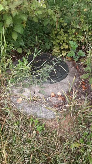 Участок 9 сот. (ИЖС)