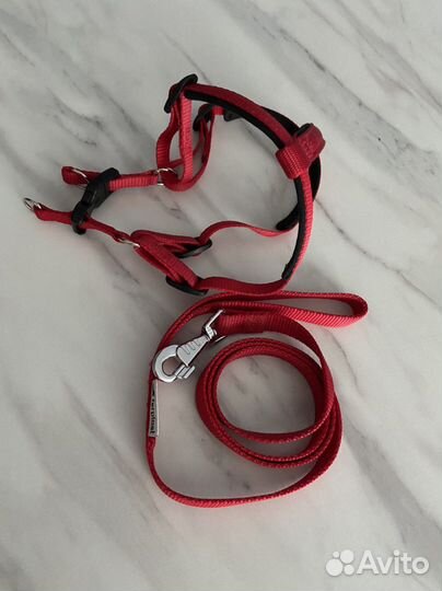 Шлейка и поводок для собак мелких и средних пород