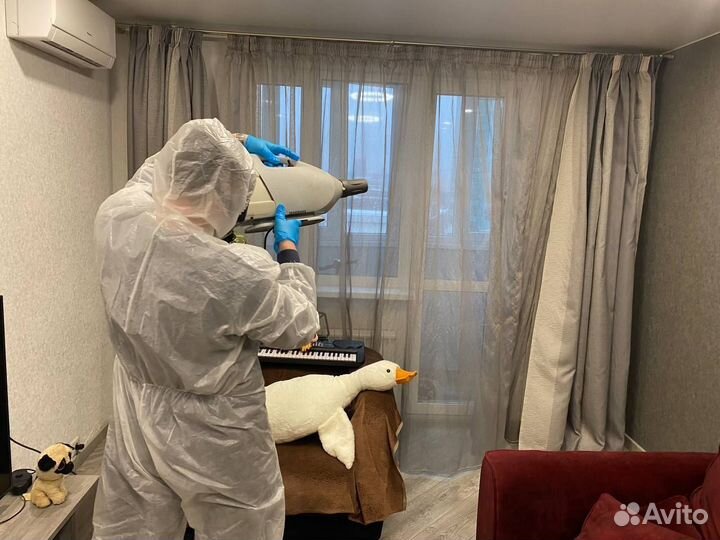 Дезинфекция от тараканов с гарантией