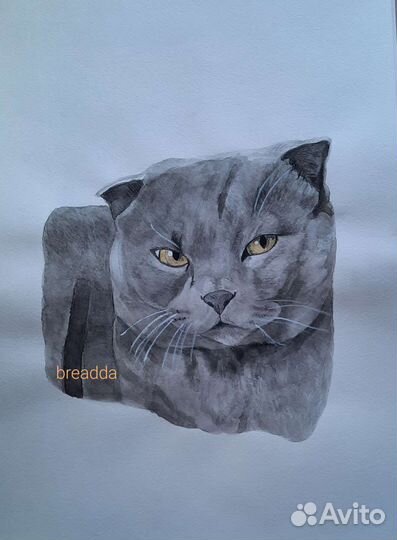 Нарисую вашего питомца