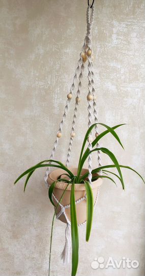 Кашпо для цветов, хлорофитум