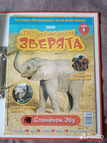 Единица с обманом. Скорей бы вырасти