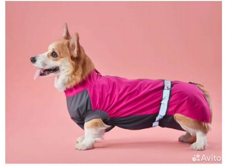 Комбинезон мембранный для собаки (вельш-корги, д)