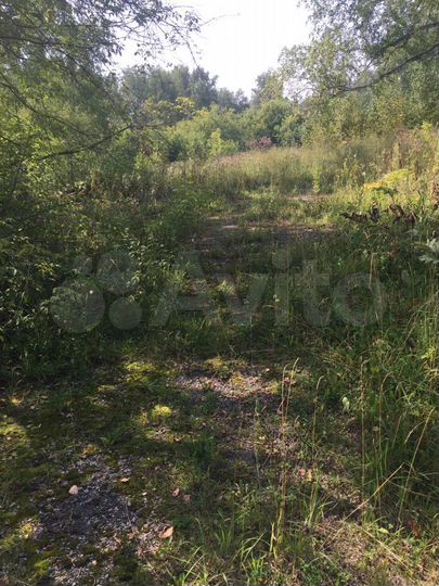 Участок 6,95 га (СНТ, ДНП)