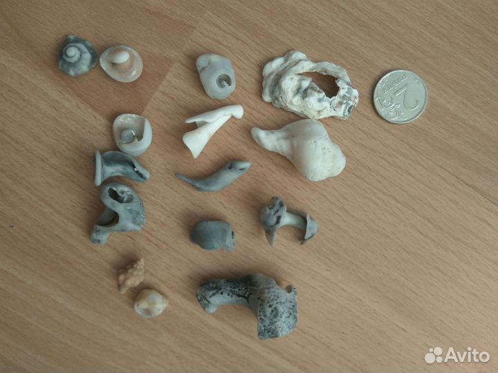 Морские ракушки и камни с дырками отверстиями