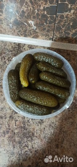 Огурцы соленые бочковые
