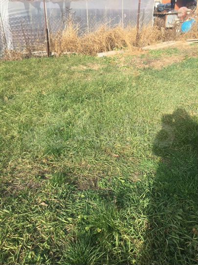 Дом 70 м² на участке 6 сот.