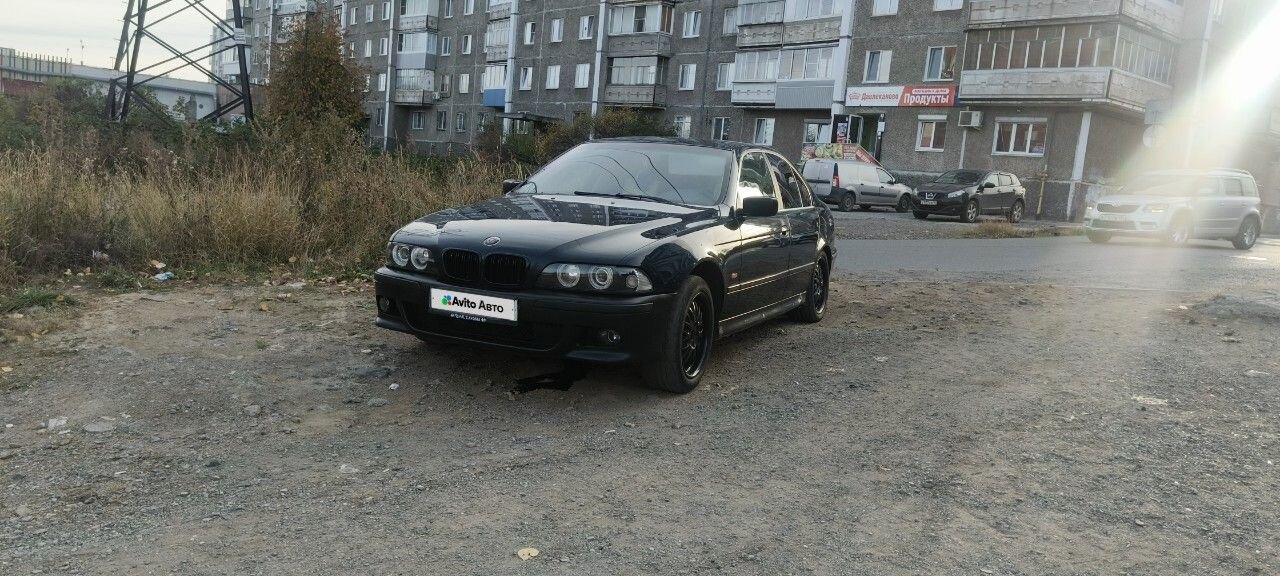 BMW 5 серия: фото владельца