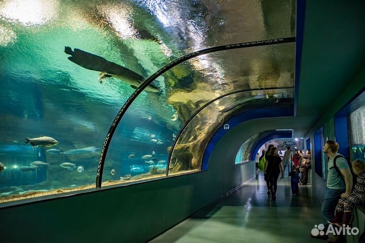 Билеты в москвариум (океанариум) на ВДНХ